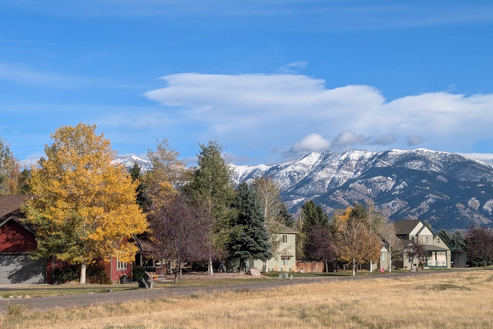 Fall colors with the Bridger Range above Bozeman, Montana